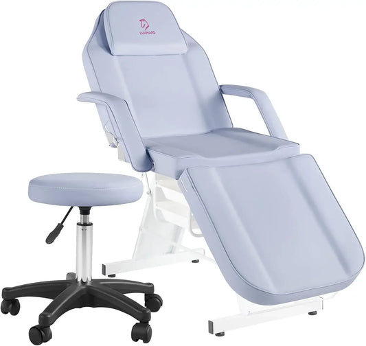 Pedicure Chairs, Tattoo Chair Massage Bed Salon Bed with Hydraulic Stool for Professional Massage Facial Beauty Pedicure Chairs